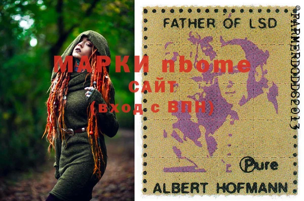 хмурый Тайга