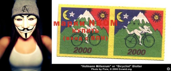 хмурый Тайга