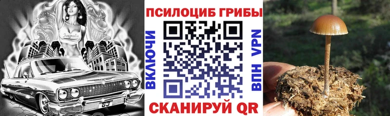 Купить закладки  Люберцы  Галлюциногенные грибы ЛСД